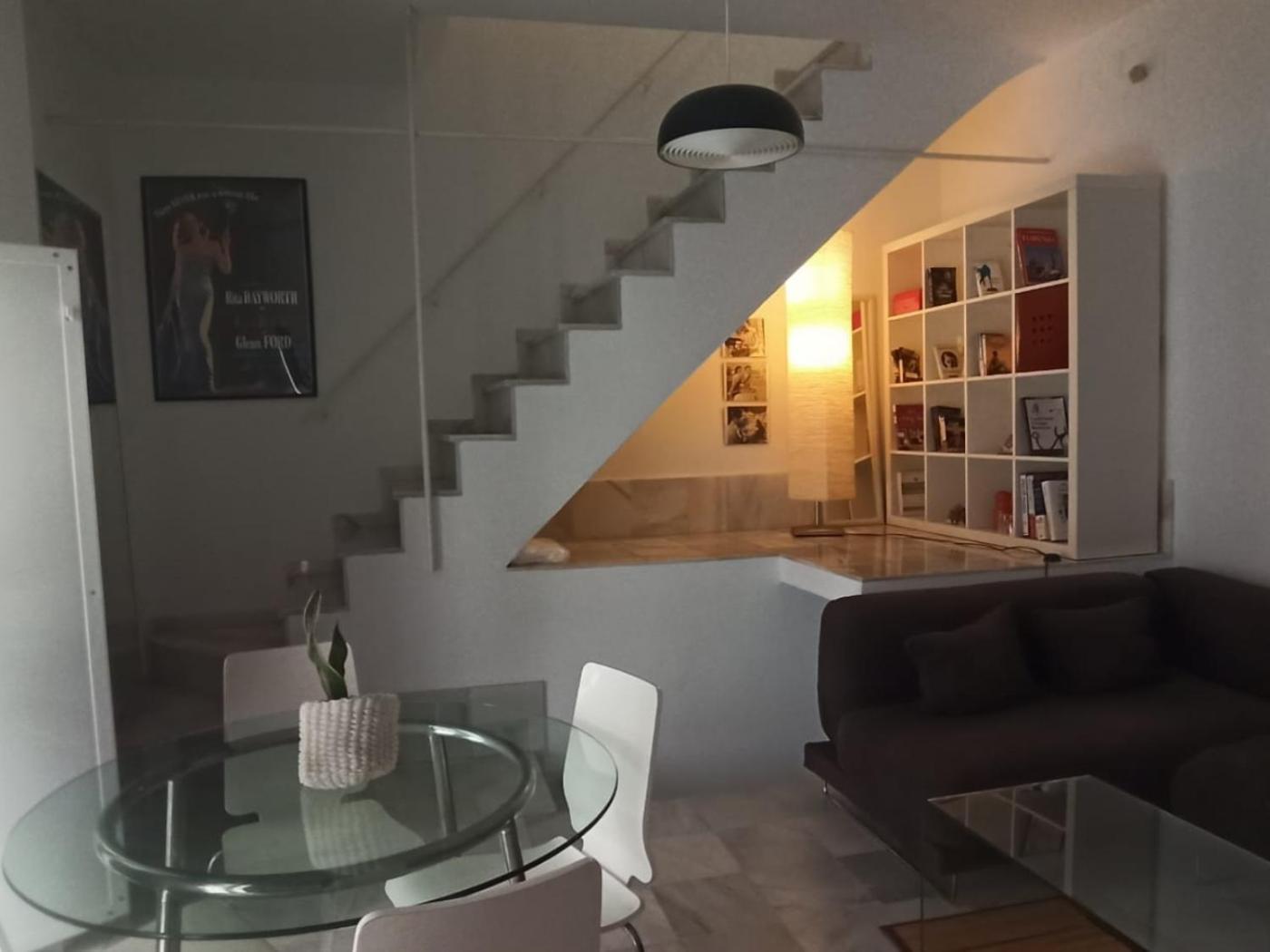 Herbolarios Terrace Apartment