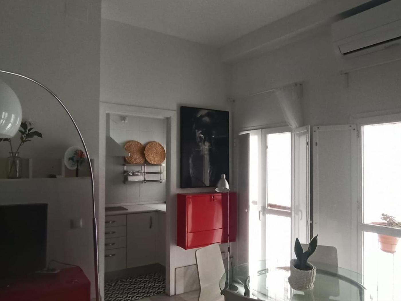 Herbolarios Terrace Appartement *